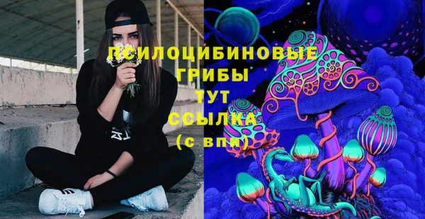 молекула духа Арсеньев