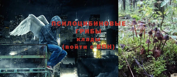 молекула духа Арсеньев