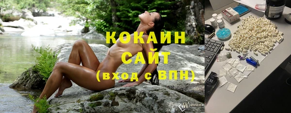 молекула духа Арсеньев