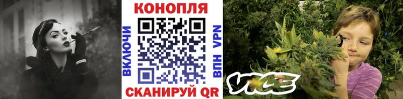 цены Полевской Конопля семена